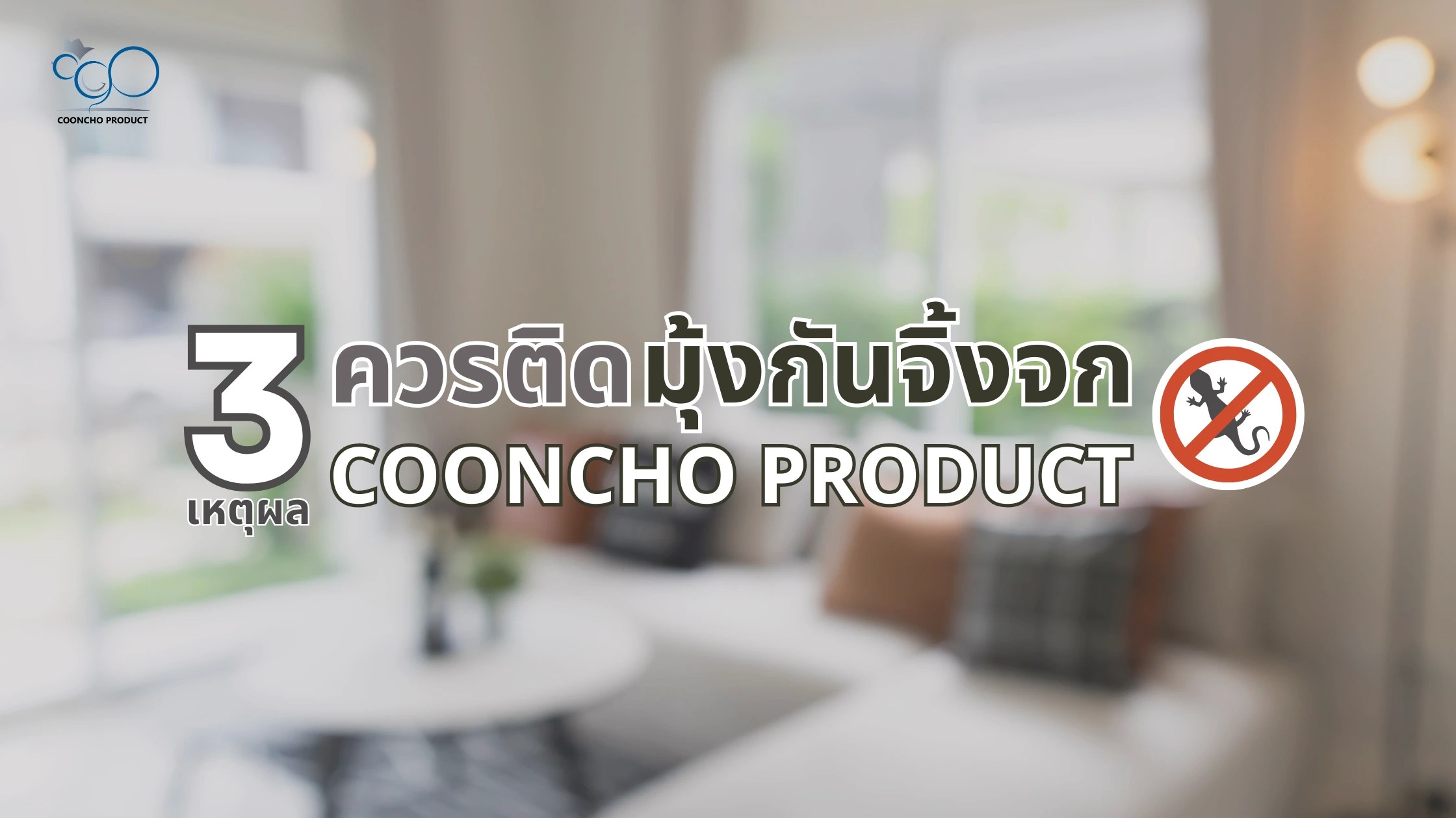 3 เหตุผลควรติดมุ้งกันจิ้งจก Cooncho Product