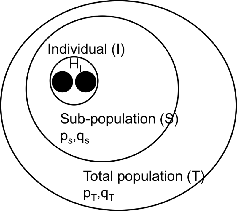 Github Cooplab Popgen Notes Population Genetics Notes - Ocean Illustration Collection - 8K Quality