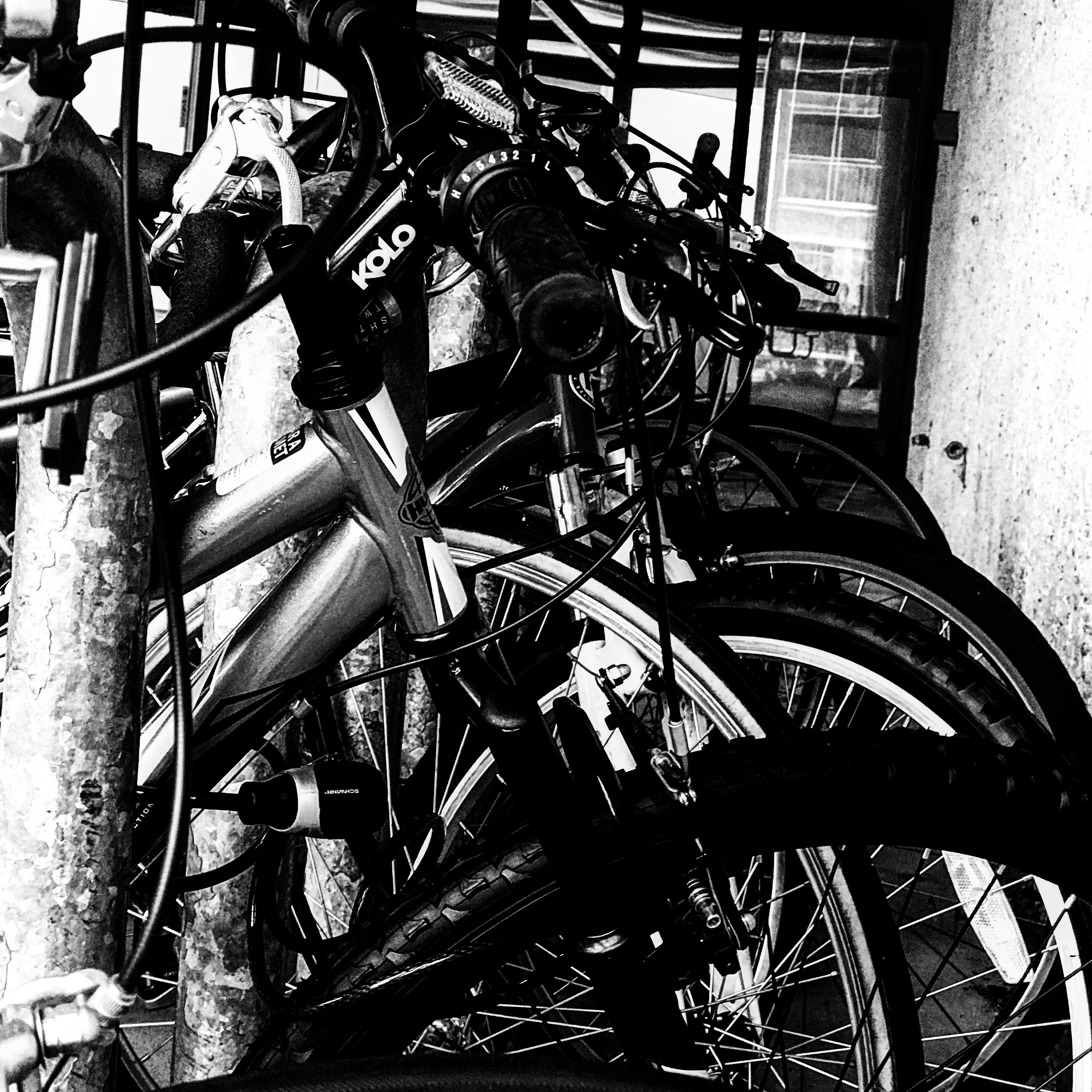7541460B-AA56-421F-A5D5-9F3D28FB9B6A