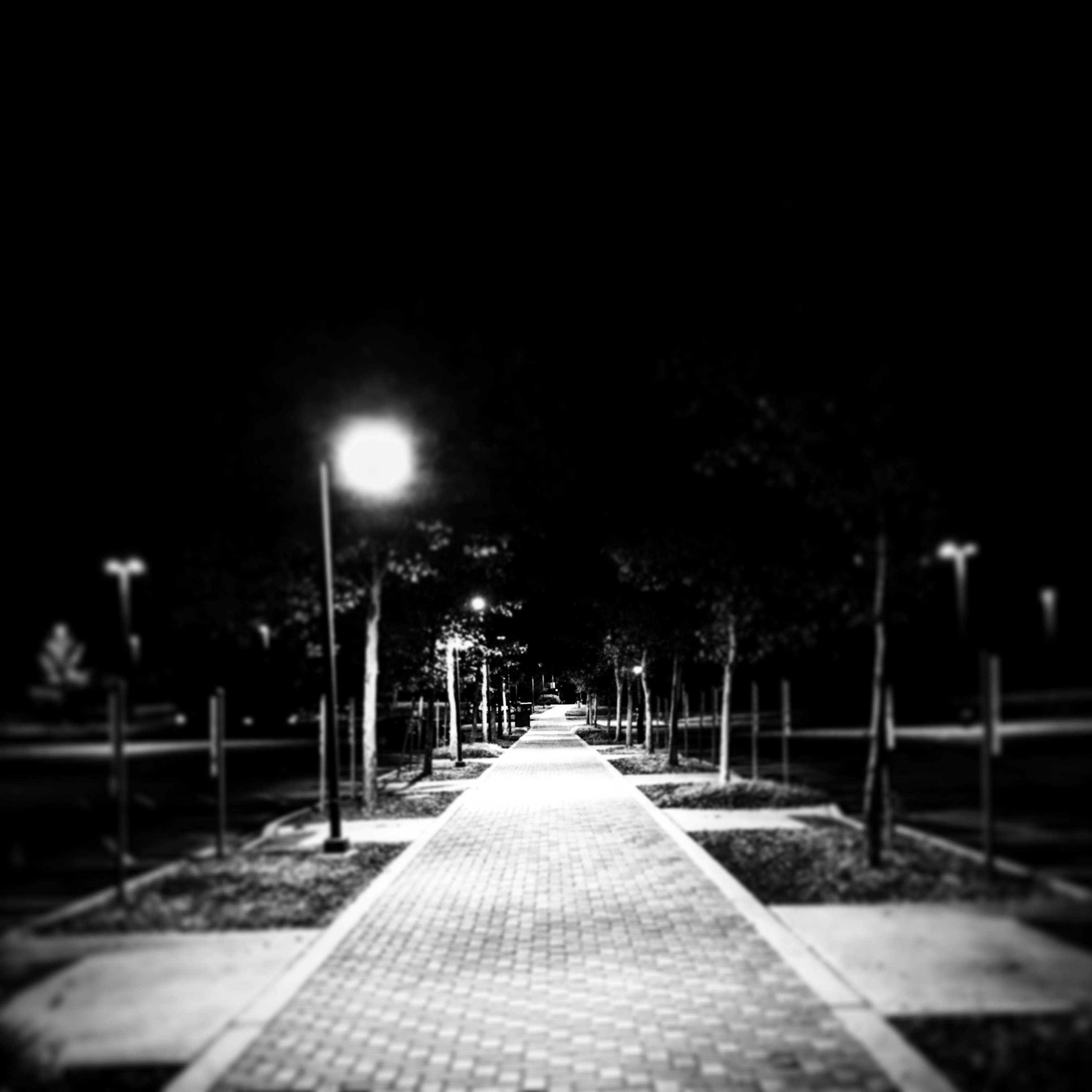 BEC3C243-6595-4187-B86D-6C83E0F5E677