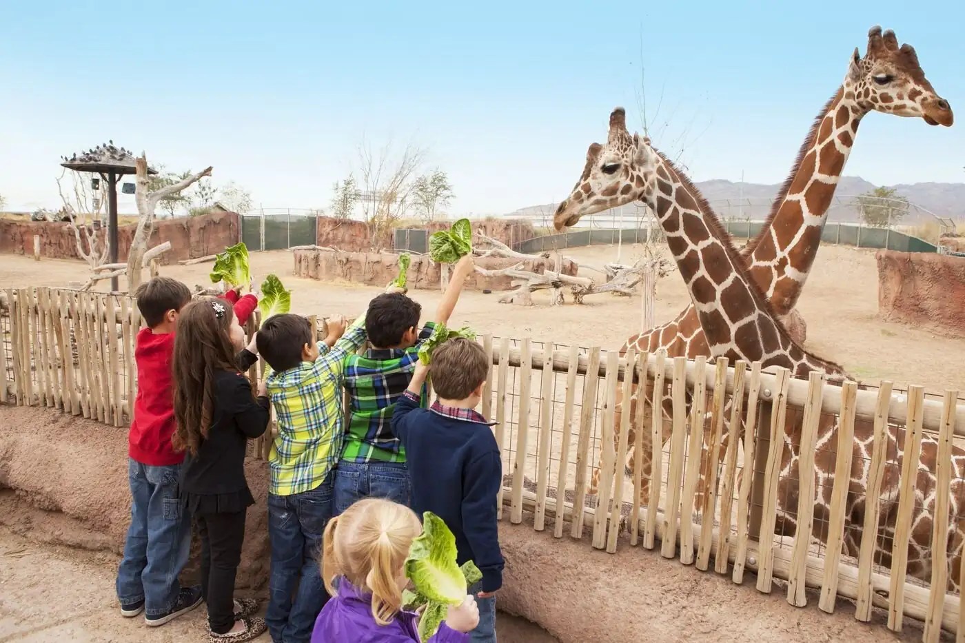 Ultimate Guide to Family-Friendly Fun in El Paso