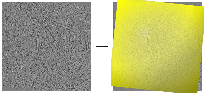 Detecting Sample Boundaries Copick - Download Beautiful Vintage Design | 8K