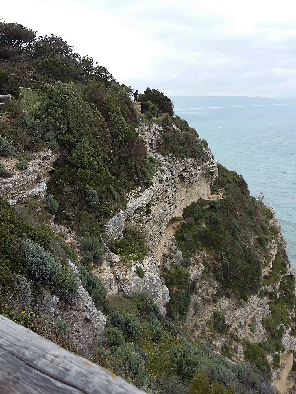 View from cliffs Barbate