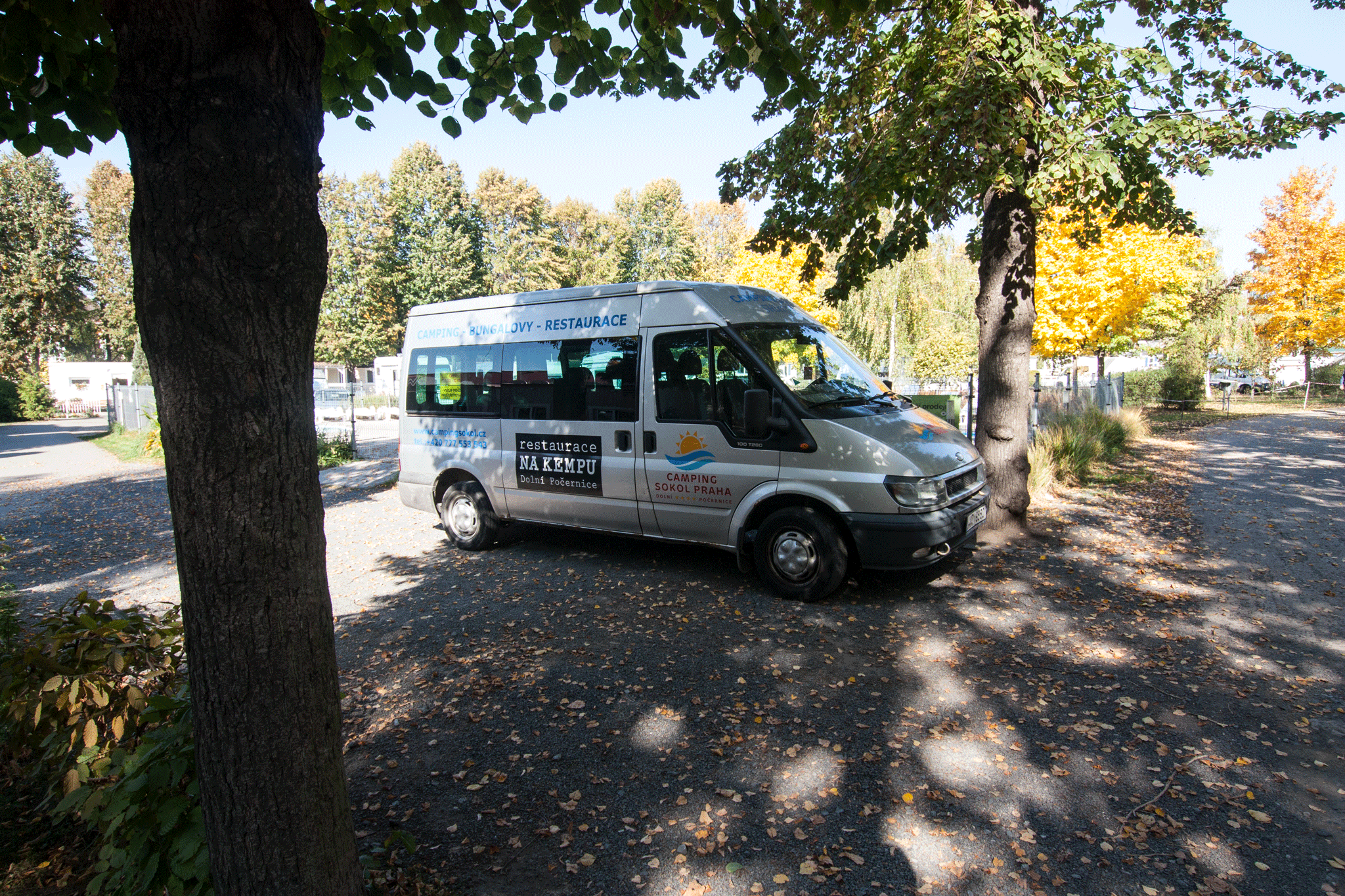 Courtesy Bus