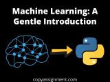 Machine Learning A Gentle Introduction Copyassignment