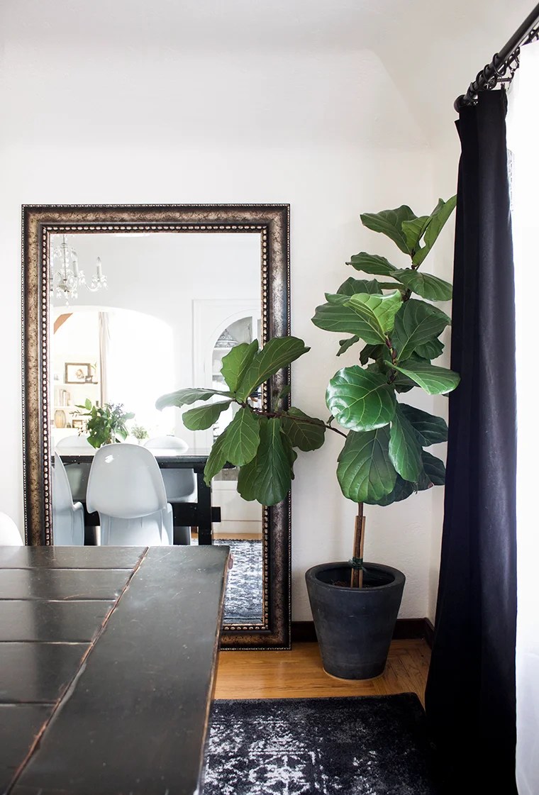 Pottery Barn Faux Potted Fiddle Leaf Fig Tree for $299 vs Michael's Artificial Fiddle Leaf Fig Tree for $50 copycatchic luxe living for less budget decor