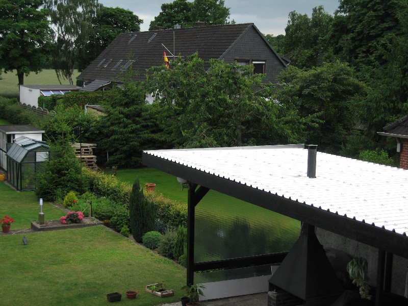 View from my window