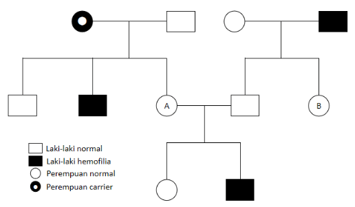 Perhatikan skema silsilah keturunan berikut ini: &hellip;