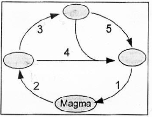 Proses pelapukan dan sedimentasi pada siklus batua&hellip;