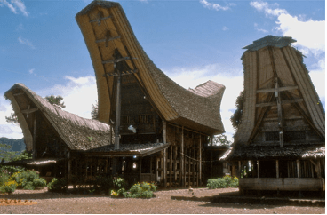 Apakah moms familiar dengan rumah adat toraja? Rumah Adat Tongkonan Merupakan Rumah Adat Yang Dim