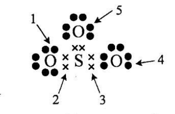 Perahtikan gambar struktur Lewis SO3 berikut! &hellip;