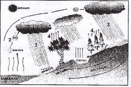 Proses siklus hidrologi yang ditunjukkan oleh angk&hellip;