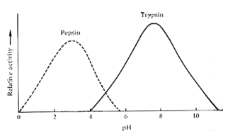 Enzim memiliki kisaran pH masing-masing untuk dapa&hellip;