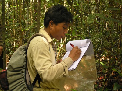 Pak Yandi