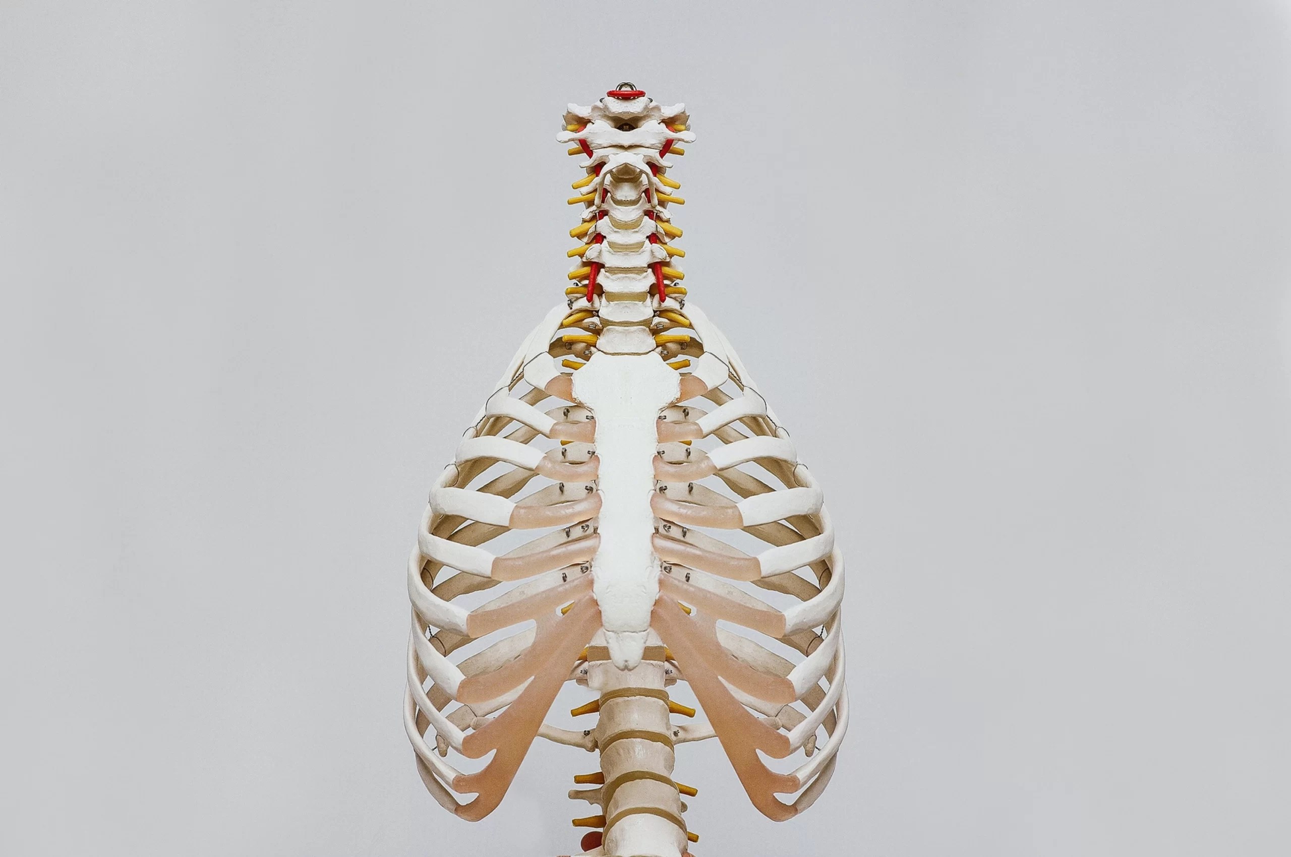 What's a Rib Flare? Core Connection Mobile Physiotherapy