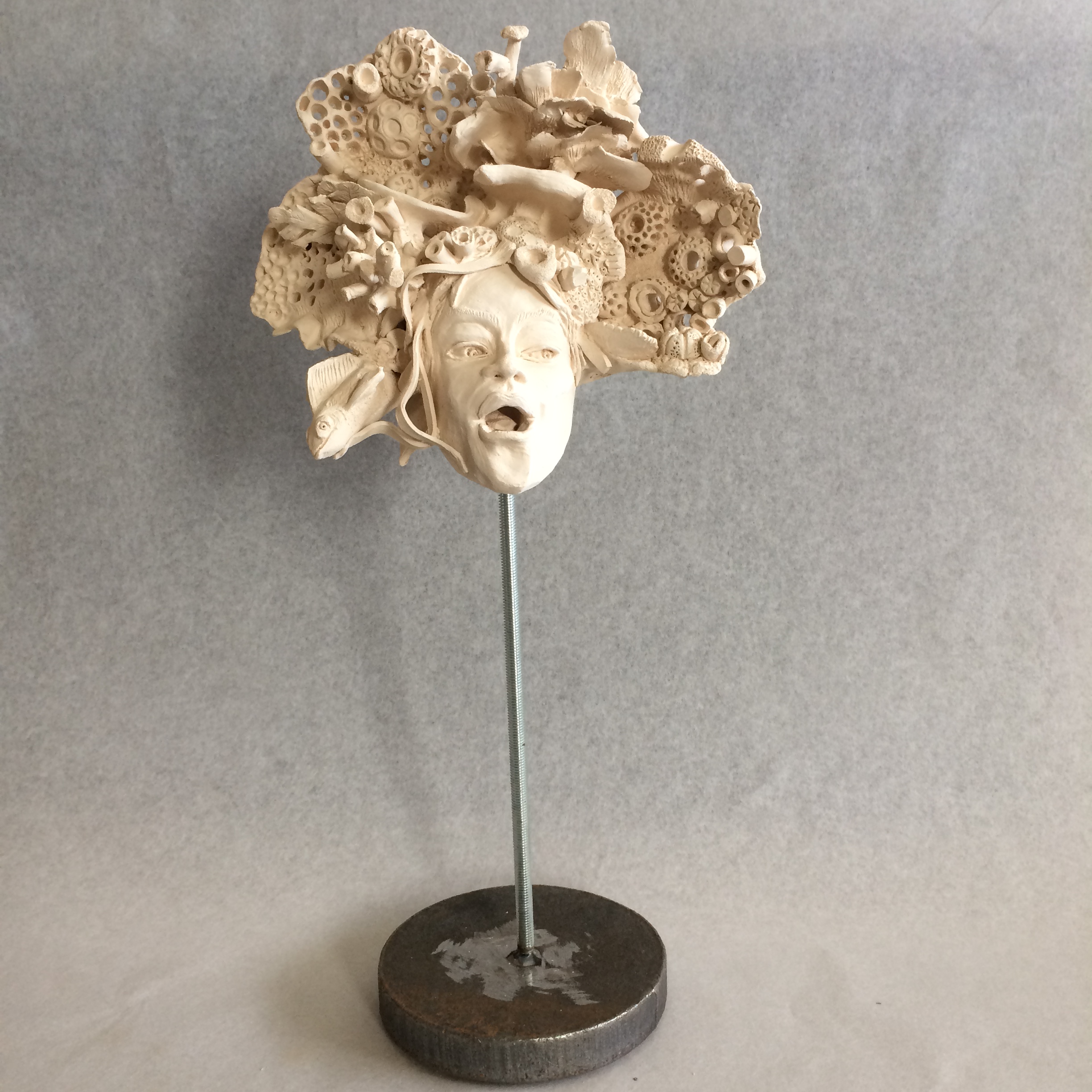 Gorgonia Tête sur socle métal