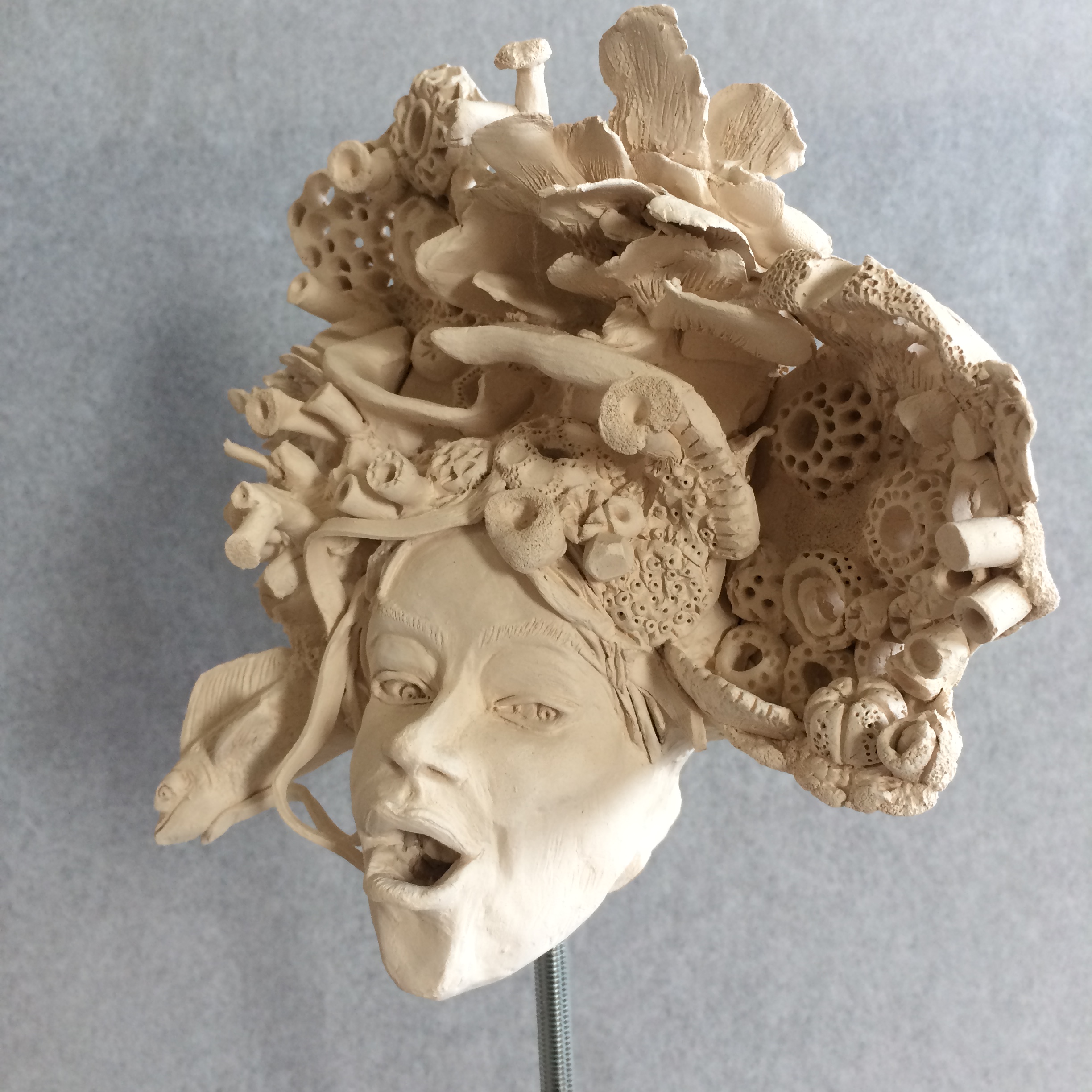 Gorgonia Tête sur socle métal