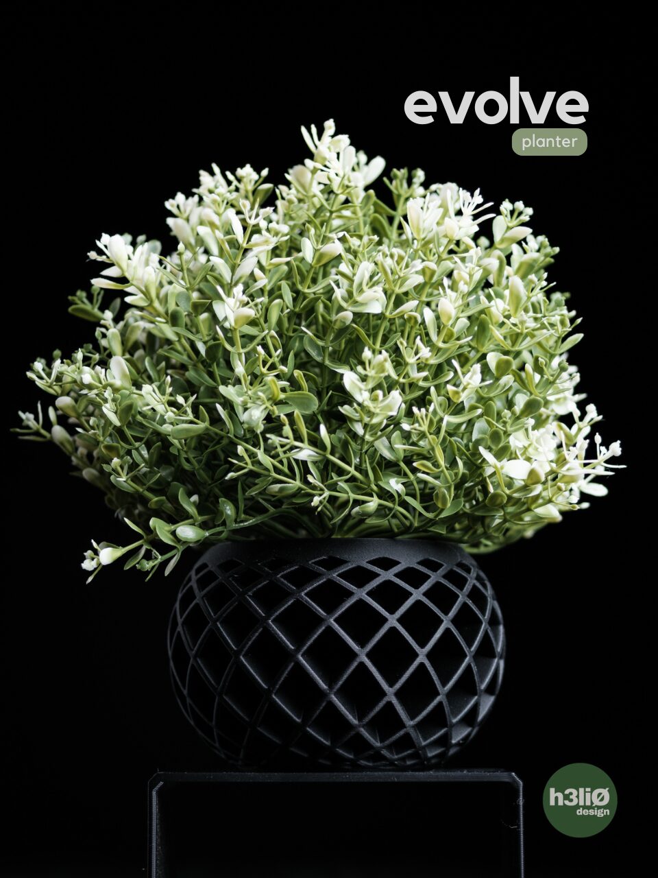 Evolve Planter