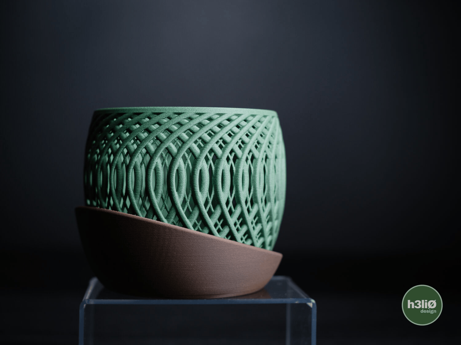 Quasar Orchid Planter