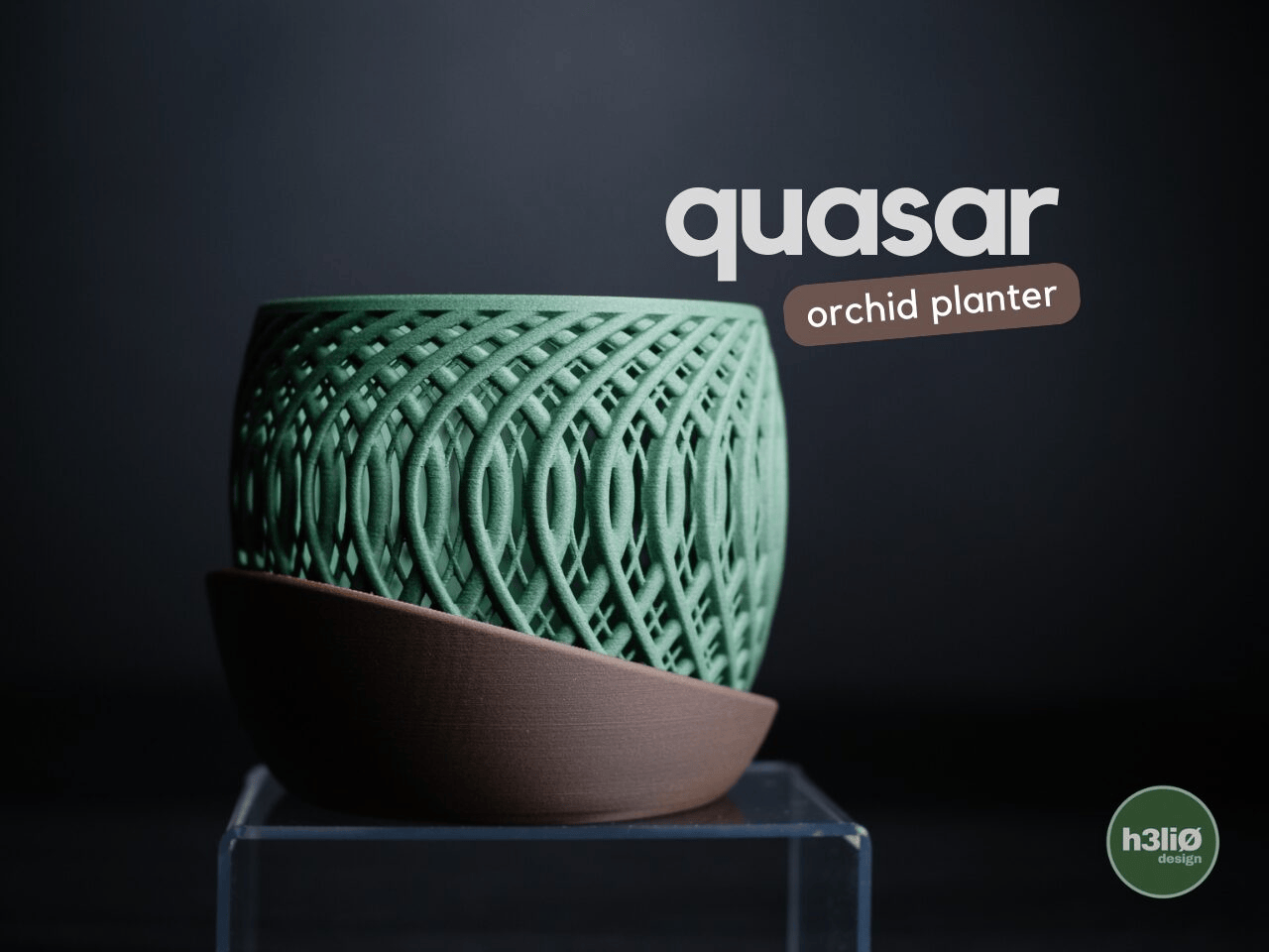 Quasar Orchid Planter