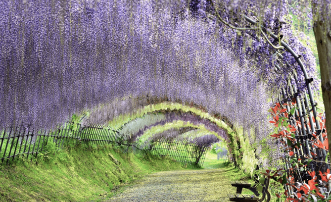 現在の位置： トップページ > 施設 > 和歌山城. ãæ¥æ¬ã«ãçµ¶æ¯ã¯ãã£ã±ãããï¼ã'ä¸çãèªãããæ¥æ¬ã®