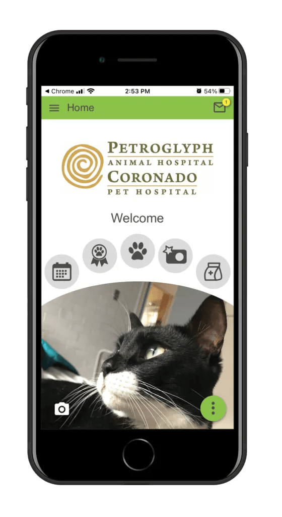 Coronado pet hospital