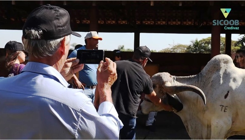 ASSOCIADOS DO SICOOB CREDIVAZ VISITAM A FAZENDA SANTA FÉ – GIR E GIROLANDO.
