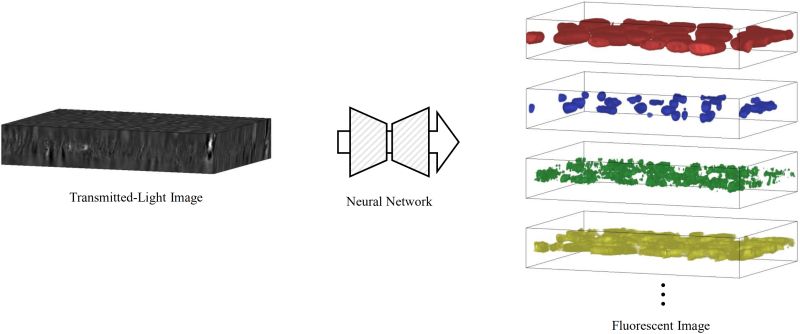 Correr Zhou Donghao Zhou Github - Colorful Pictures - Ultra HD Desktop Collection