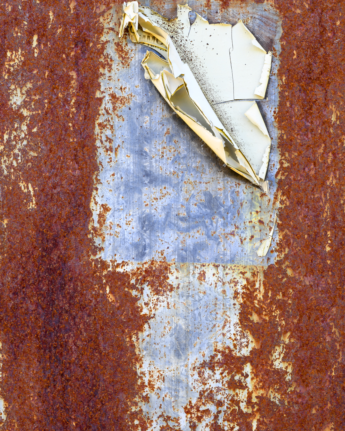 John Moore - Contemporary Charleston Fine Art