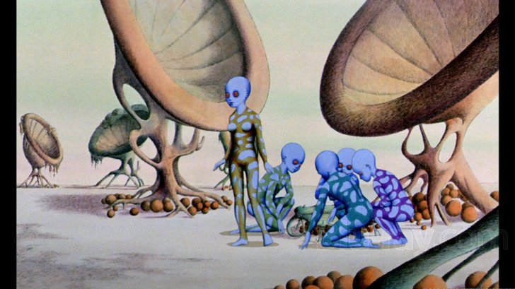 Draag kids try to get their pet Oms to fight