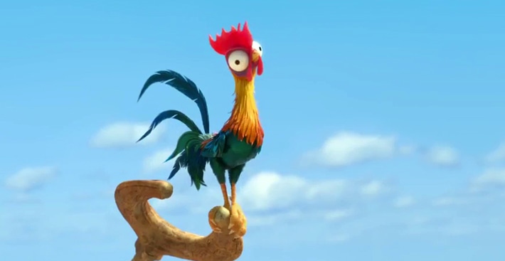 Heihei the worlds stupidest chicken