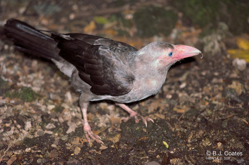 Krivoy Rogda bir kecha-kunduzlik Krivoy Rogda bir kecha-kunduzlik