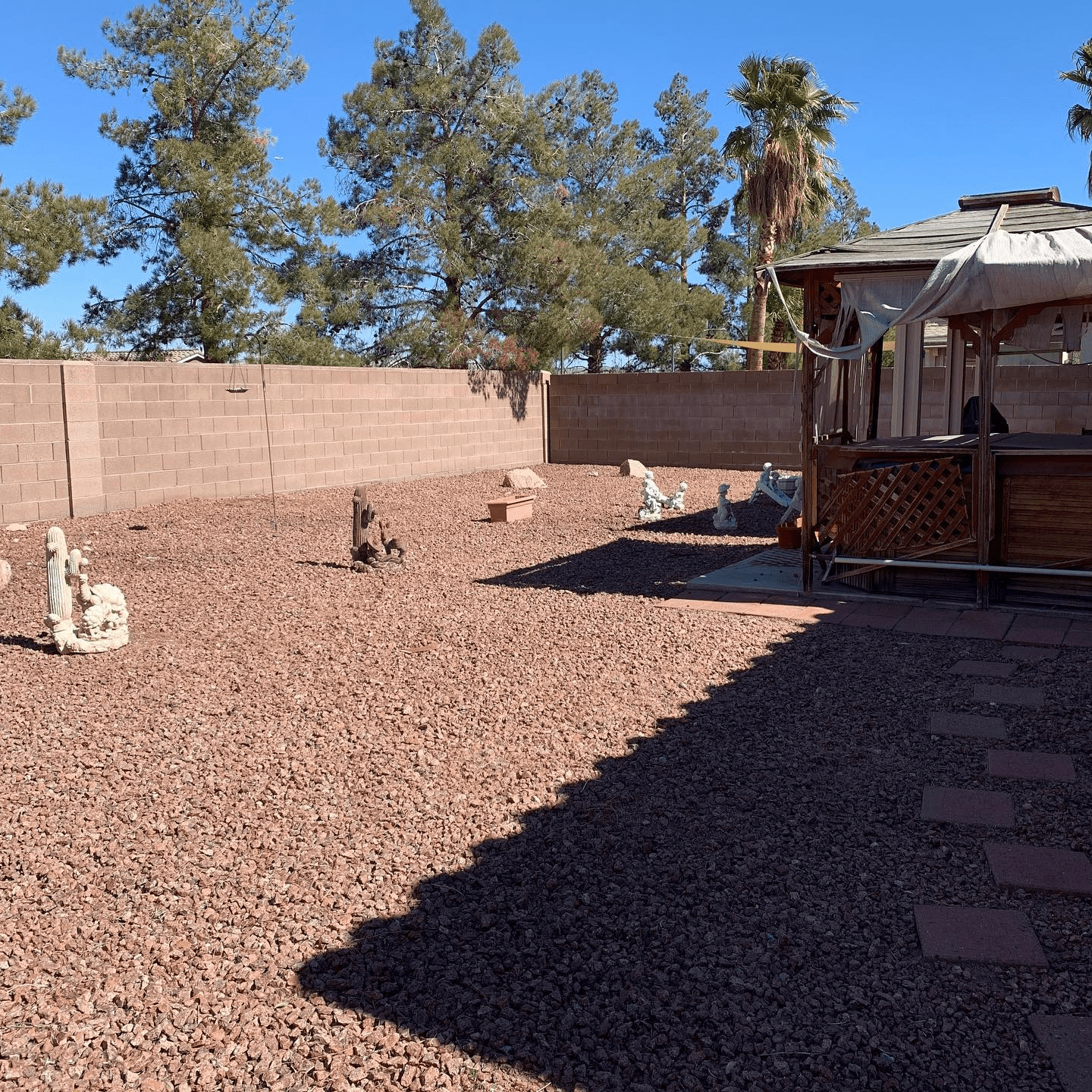 Backyard Cleanup After Scaled 1