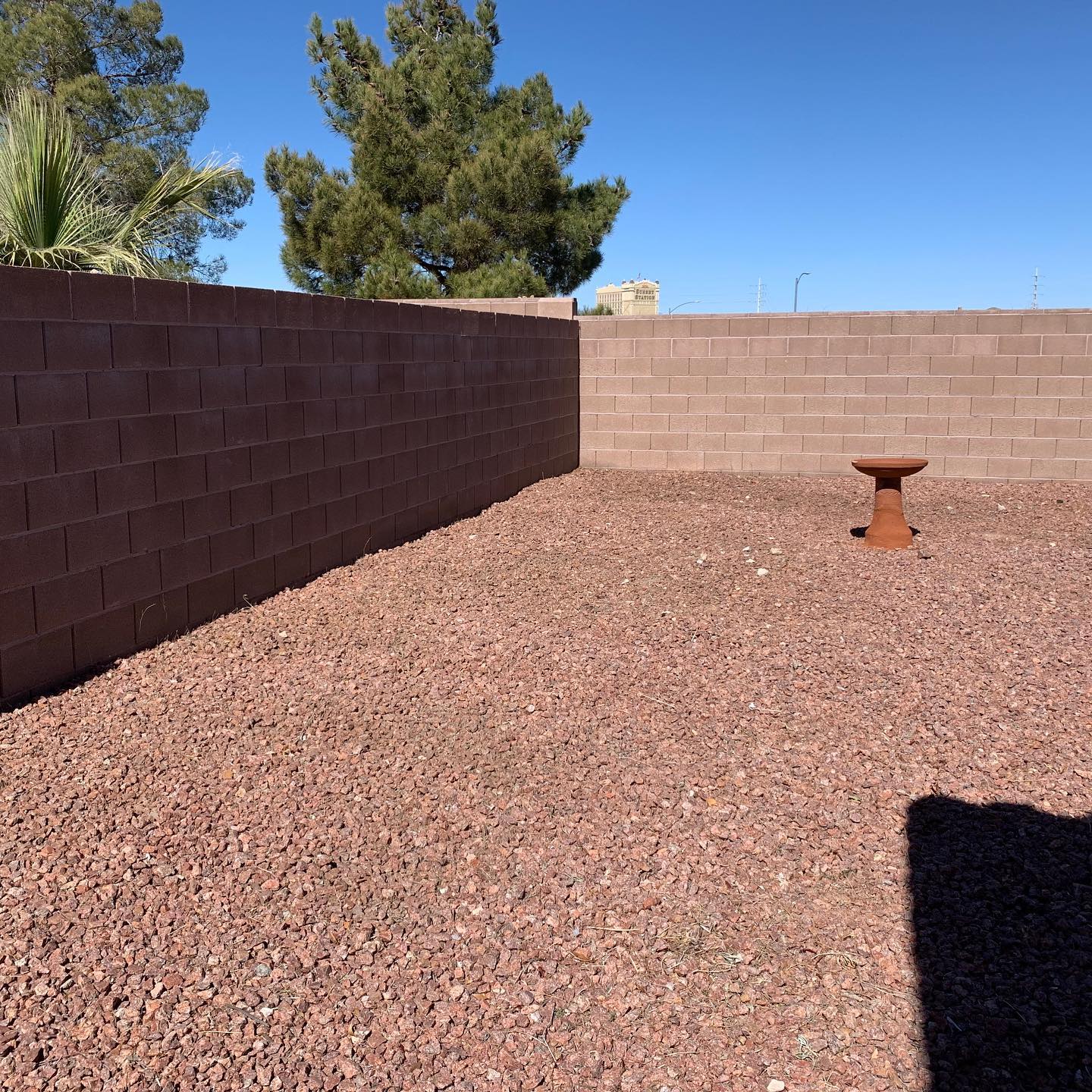 Backyard Cleanup After