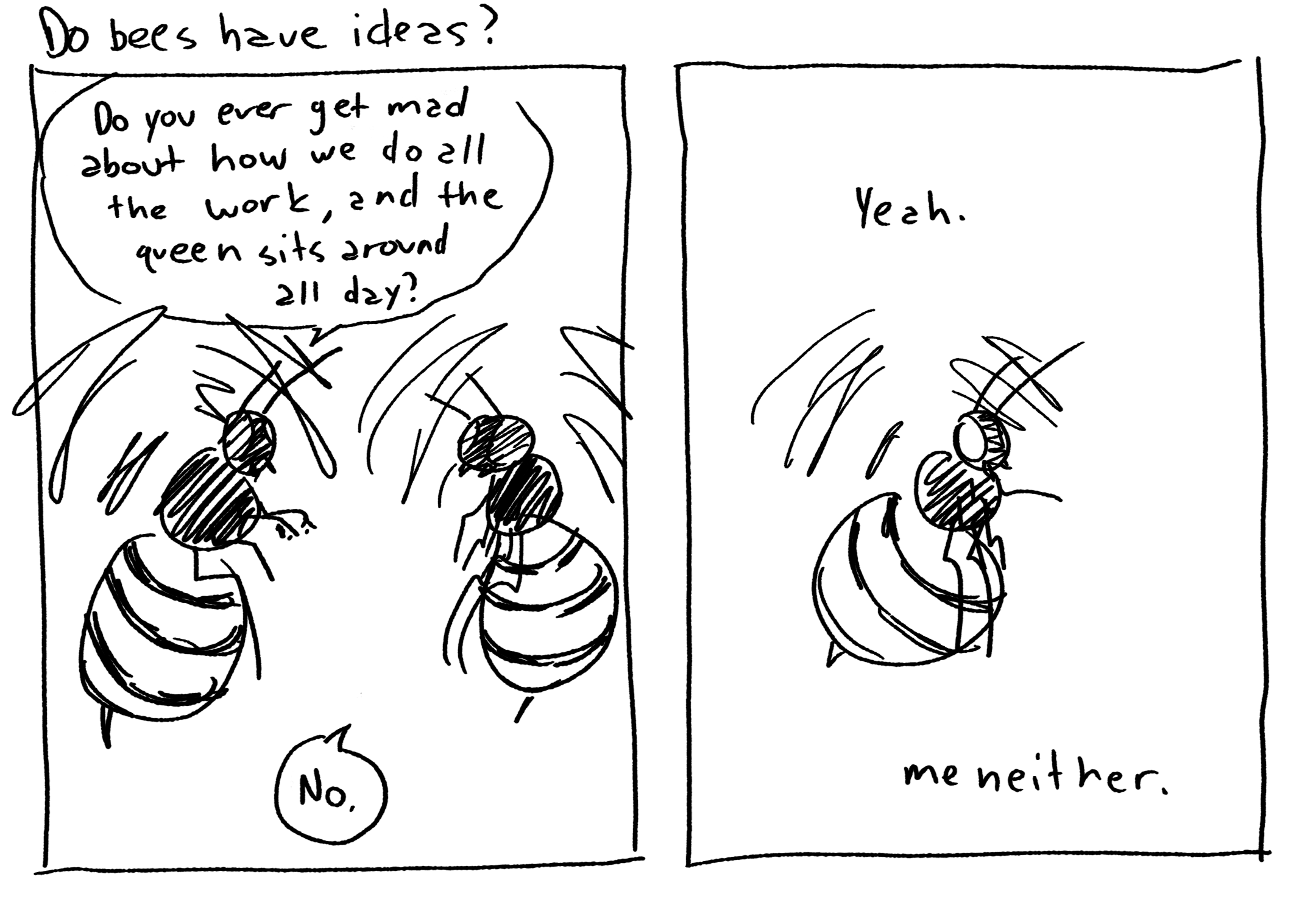 Robeespierre