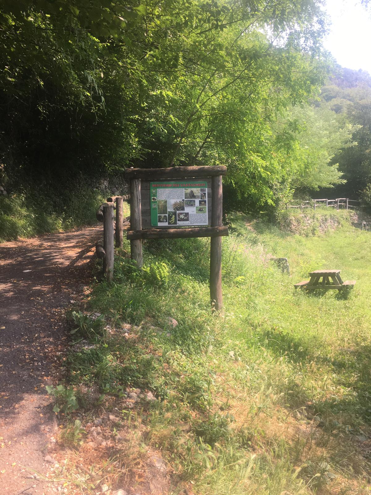 Area pic nic nel sentiero dei casagneti