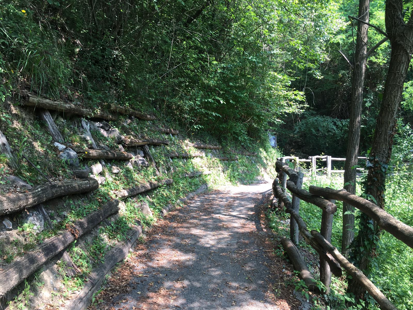 Sentiero dei Castagneti
