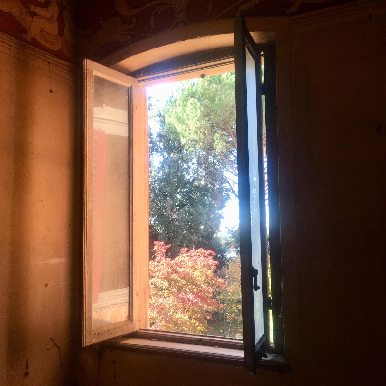 Gli alberi di Villa Astori visti dalla finestra del primo piano