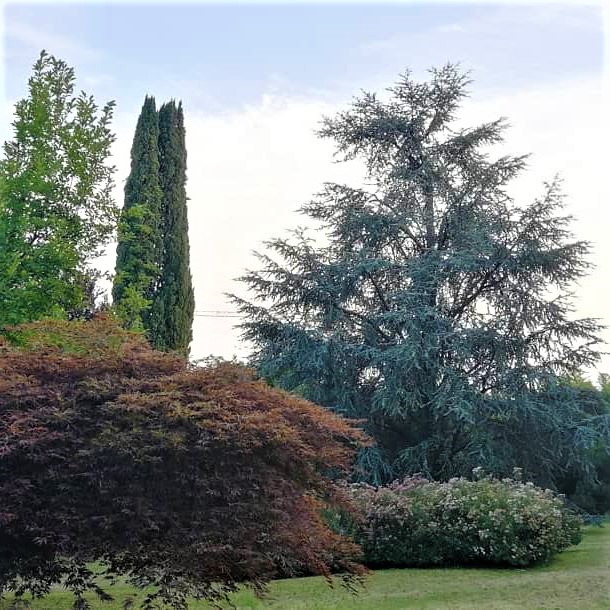 Il parco all'inglese di Villa Astori