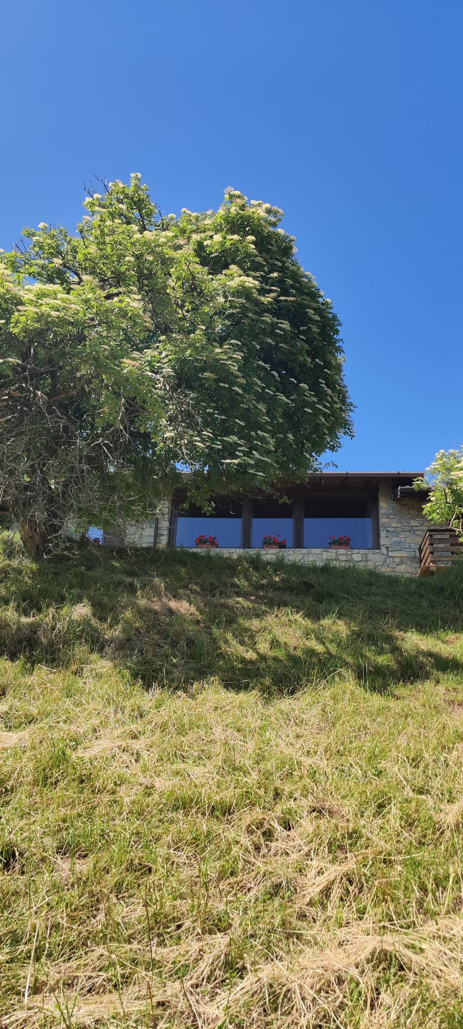10 cascina 4