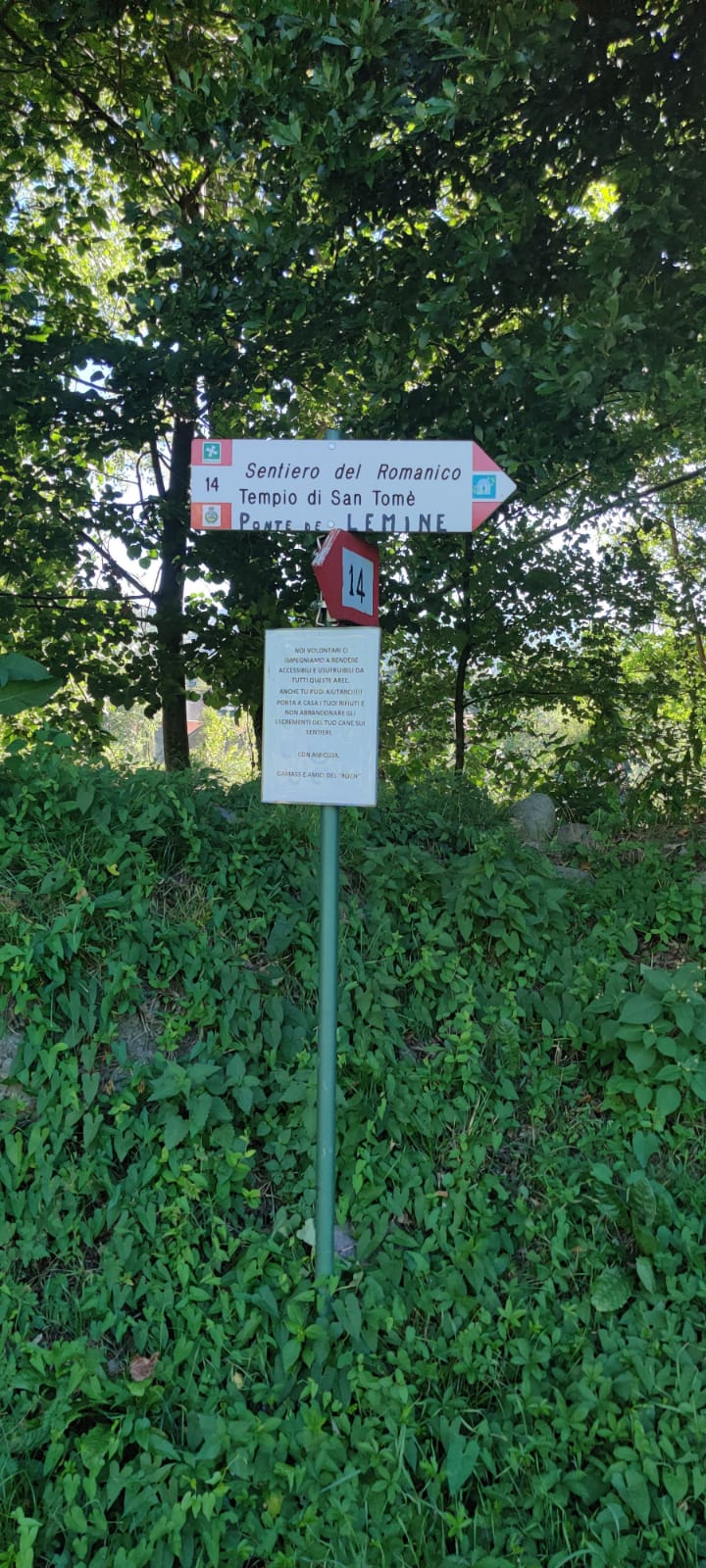 Indicazioni