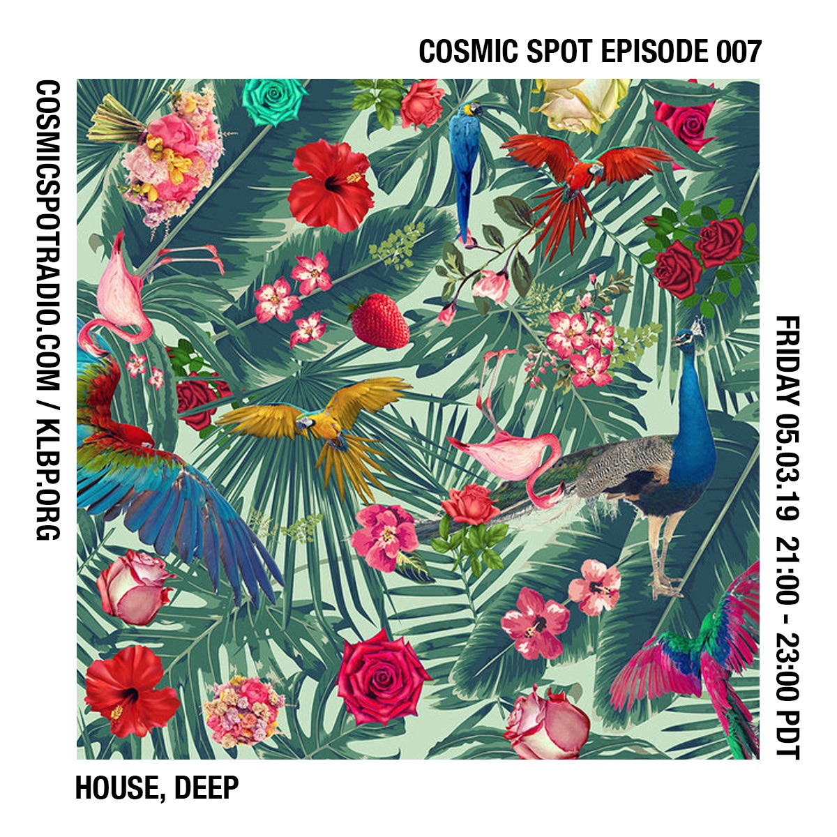 Cosmic Spot Episode 007