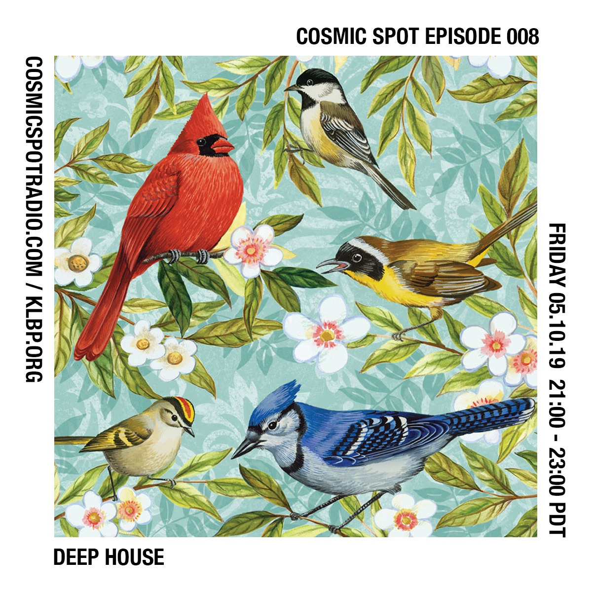 Cosmic Spot Episode 008