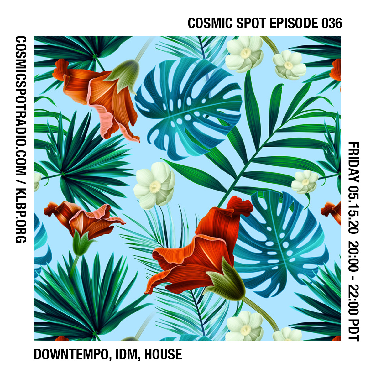 Cosmic Spot 036 – Downtempo, IDM, House