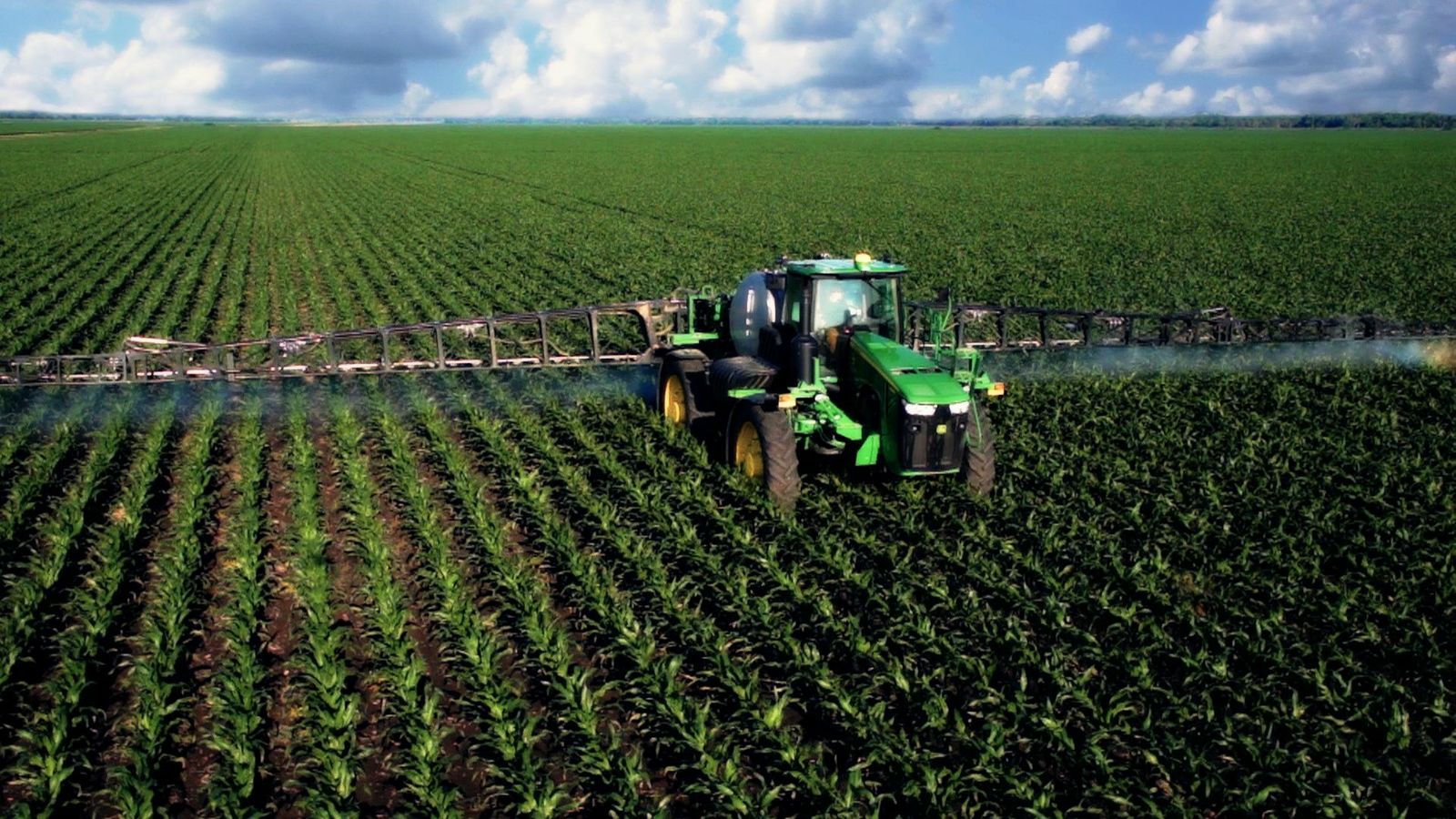 Industrial Agriculture is bringing about the Mass Extinction of Life on