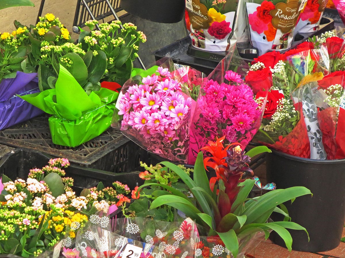 Blumenstand in Begur