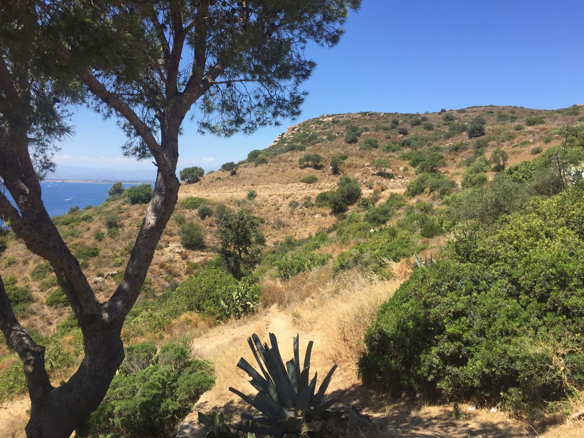 Wanderung Punta Falconera