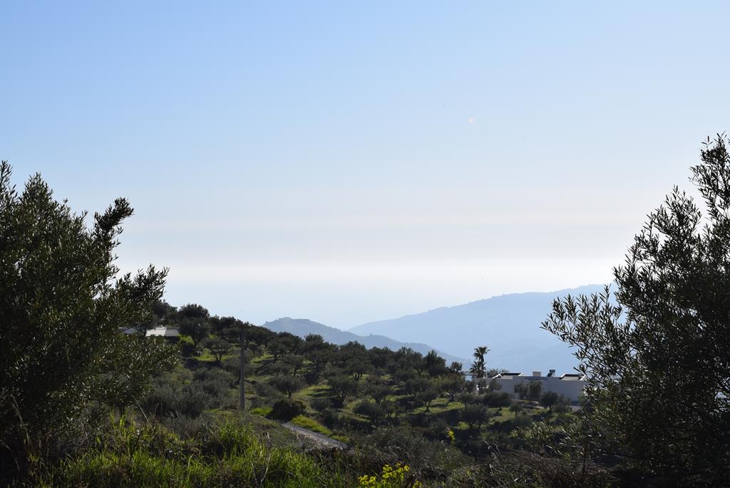 DSC_0370