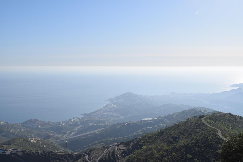 DSC_0383