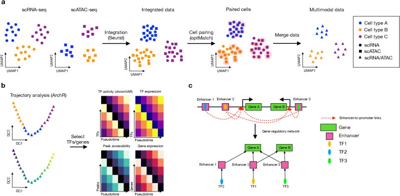 Github Songw01 Megena Multiscale Embedded Gene Co Expression Network - Dark Pictures - Premium HD Collection